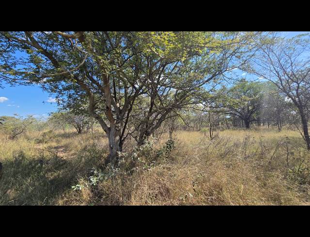 8.80HA VACANT LAND FOR SALE IN BELA BELA RURAL